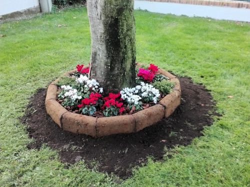 Archisio - Tufo Etrusco Srl - Progetto Realizzazioni dei clienti