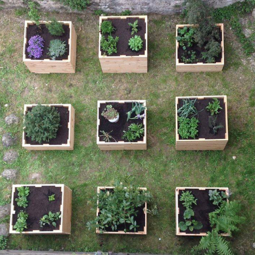 Archisio - Davide Stona - Progetto Installazione temporanea per hortus sanitatis