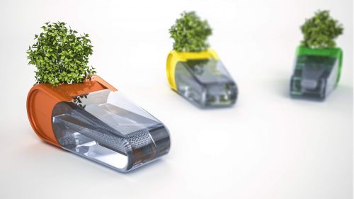 Archisio - Manossusias - Progetto Greenpot