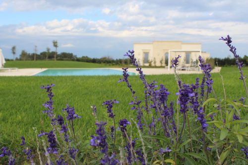 Archisio - Gabriele Fanuli - Progetto Un resort tutto mediterraneo