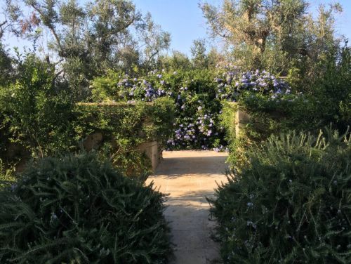 Archisio - Gabriele Fanuli - Progetto Sulla serra di spongano