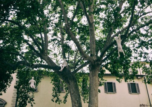 Archisio - Sonia Valente - Progetto Icastica 2014