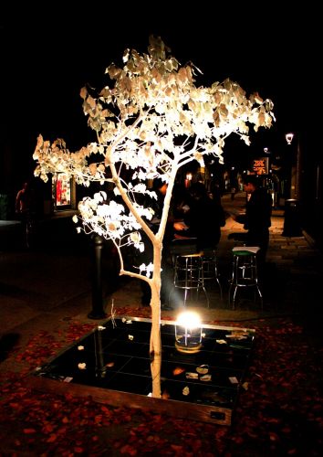 Archisio - Sonia Valente - Progetto Aa10