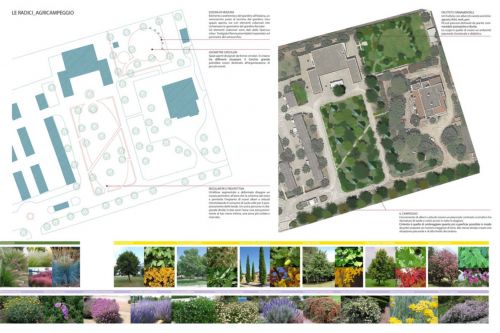 Archisio - Gabriele Fanuli - Progetto Campeggio mediterraneo