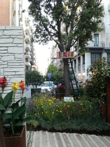 Archisio - Anna Claudia Bufo - Progetto Primavera mediterranea 2017