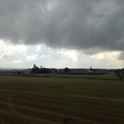 Archisio - Anna Claudia Bufo - Progetto Pu nascere un fiore