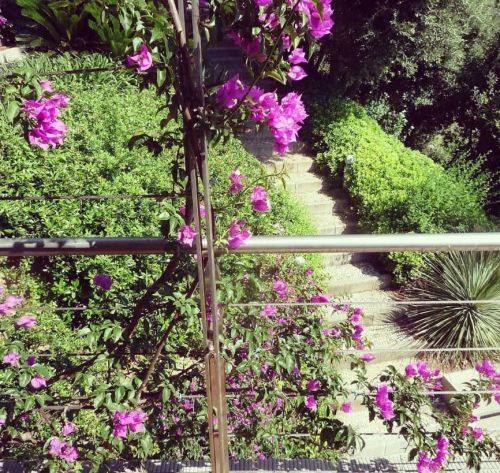 Archisio - Chiara Masini Architetto - Progetto Isola delba prima parte dei lavori finita