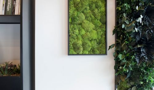 Archisio - Dfg Architetti - Progetto Abito verde showroom