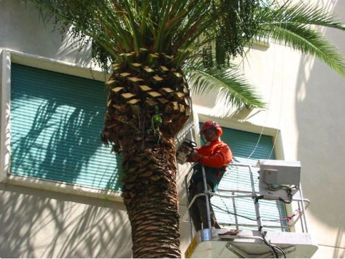 Archisio - Lo Studio Botanico - Progetto Progetto 3