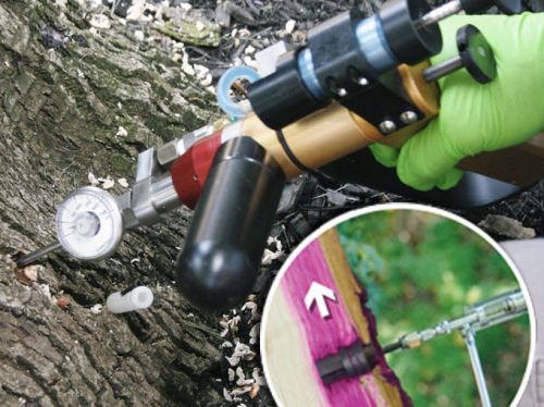 Archisio - Lo Studio Botanico - Progetto Endoterapia