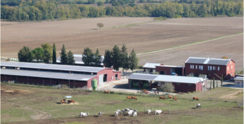 Archisio - Geom Manuel Pifferi - Progetto Impianto fotovoltaico