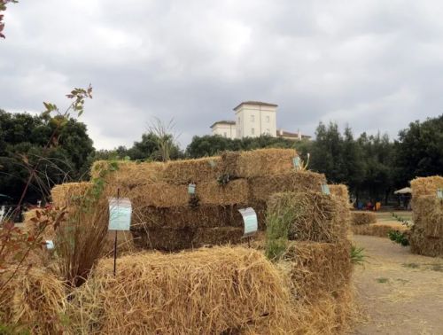 Archisio - Stefania Lorenzini Garden Designer - Progetto La conserva della neve 2014 parco dei daini villa borghese