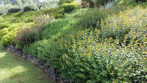 Archisio - Lidea Verde Snc Di Bandini Fabio C - Progetto Aiuole