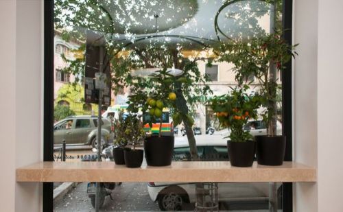 Archisio - Lucio Virzi Fotografo - Progetto Seacook