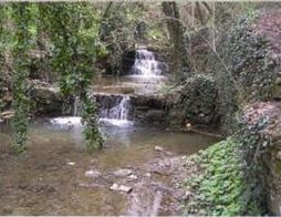 Archisio - Pstudio - Progetto Carta patrimonio provincia prato