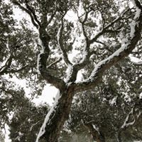 Archisio - Alessandro Corongiu Fotografia - Progetto Giara sotto la neve