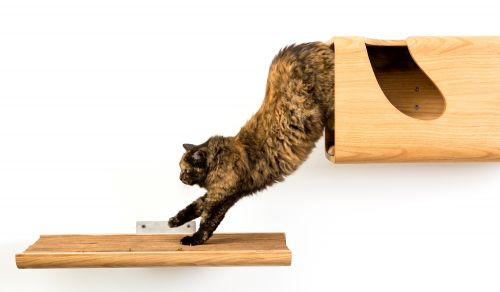 Archisio - Brandodesign - Progetto La mensola trono