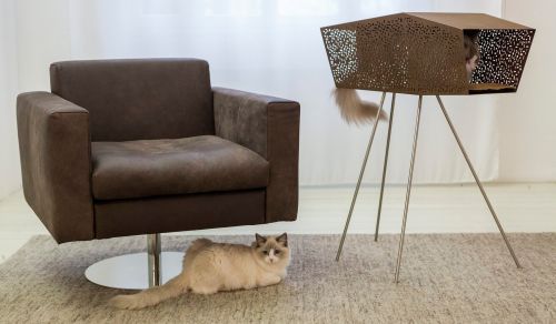 Archisio - Brandodesign - Progetto La cuccia tunnel