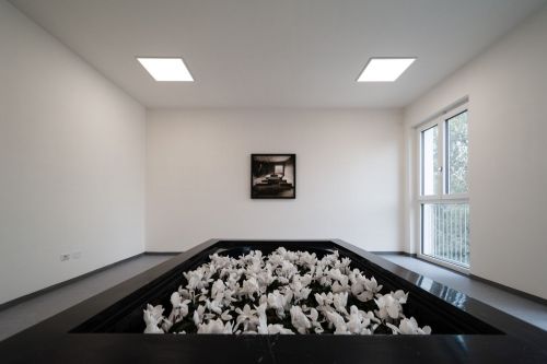 Archisio - Guglielmo Verrienti - Progetto Villa schiavone