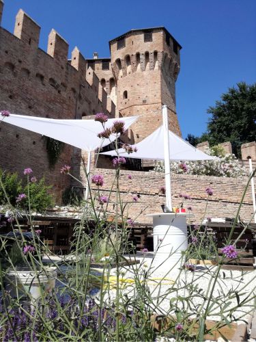 Archisio - Fabio Uguccioni - Progetto Al giardino segreto Un giardino sotto il castello di gradara pu