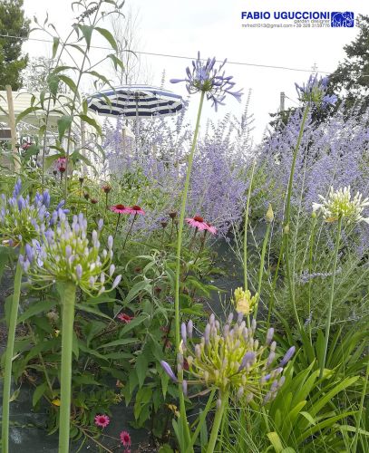 Archisio - Fabio Uguccioni - Progetto Un giardino tra le colline Country house a senigallia an