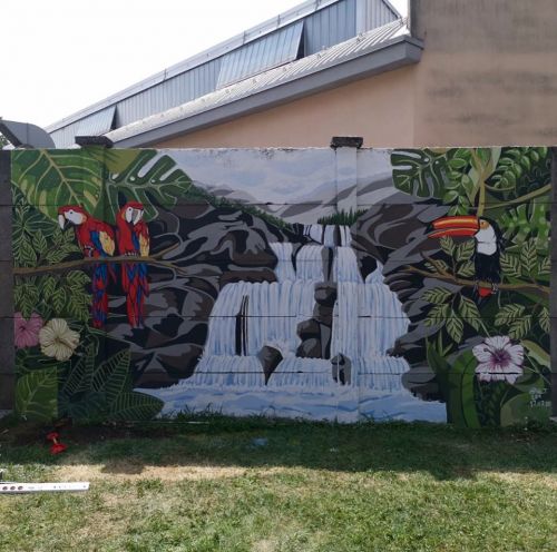 Archisio - Anaebasta - Progetto Natura jungle