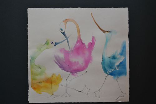 Archisio - Elena Lisa Colombo - Progetto Illustrazioni