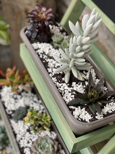 Archisio - Lostlakedesign - Progetto Home staging