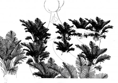 Archisio - Luca Righetto - Progetto Progettazione giardini varese busto arsizio Giardinosauro