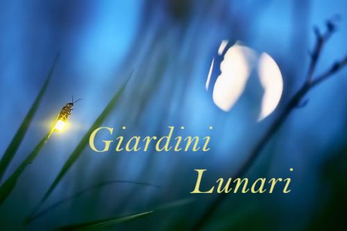 Archisio - Luca Righetto - Progetto Progettazione giardini varese busto arsizio Giardino lunare giardino notturno