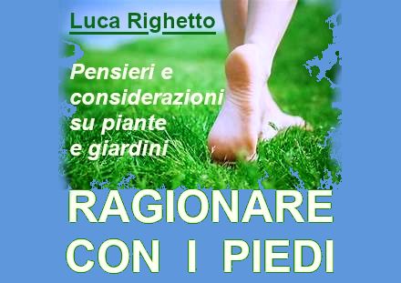 Archisio - Luca Righetto - Progetto Pensieri e considerazioni su piante e giardini Link agli articoli in httpsprogettazione-spazi-verdibusinesssiteutmsourcegmbutmmediumreferral