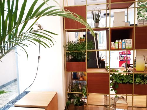 Archisio - Studio Ics - Progetto Parafarmacia