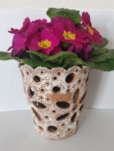 Archisio - Frisart - Progetto Vasi orchidee