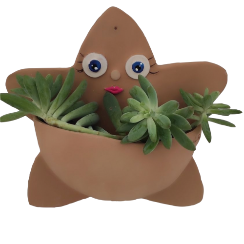 Archisio - Frisart - Progetto Vaso da muro stella