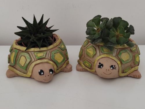 Archisio - Frisart - Progetto Vasetti tartarughine corazzate