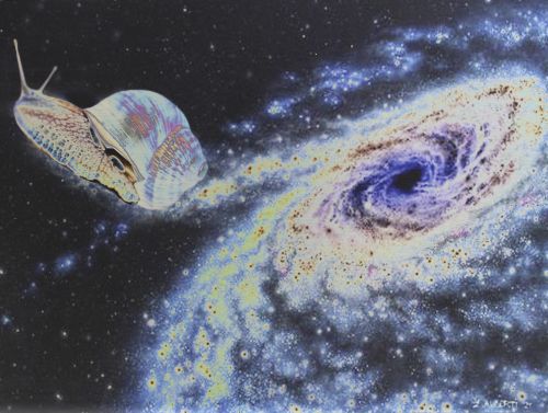 Archisio - Emilio Alberti - Progetto Chiocciola cosmica