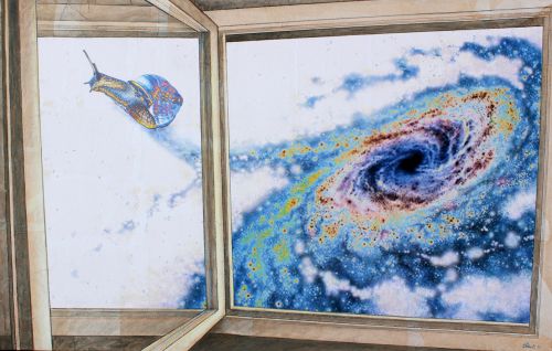 Archisio - Emilio Alberti - Progetto Alla finestra