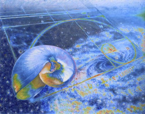 Archisio - Emilio Alberti - Progetto Nautilus