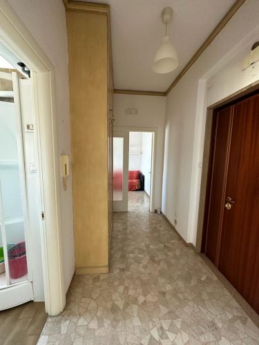 Archisio - Elisa Cattelan - Progetto Mini a treviso