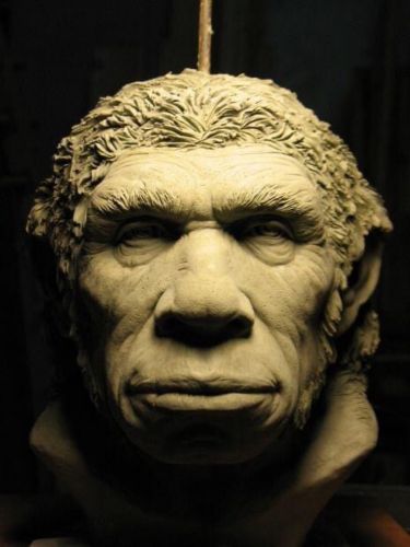 Archisio - Scultorescenografo - Progetto Neanderthal