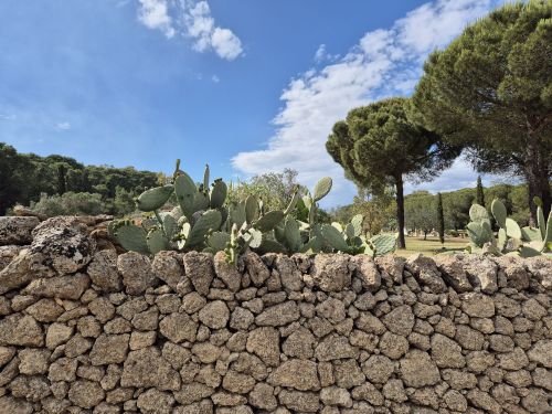 Archisio - Marco Temperino - Progetto Masseria le stanzie