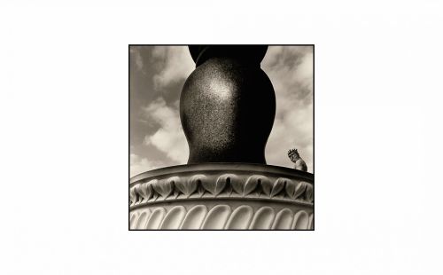 Archisio - De Luca Augusto - Progetto Firenze - foto augusto de luca