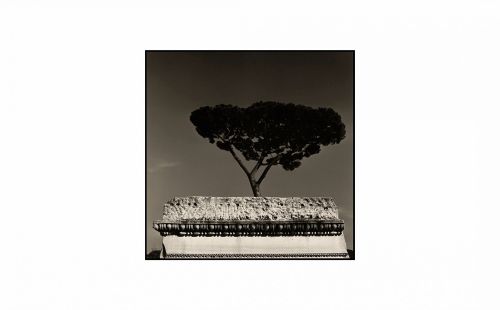 Archisio - De Luca Augusto - Progetto Roma - foto augusto de luca