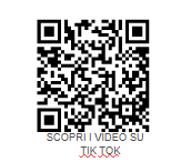 Archisio - Fabbro Mg - Progetto Profilo tik tok