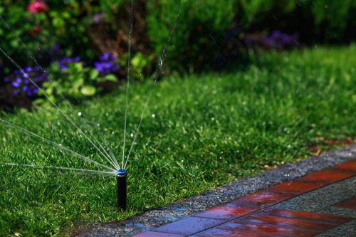Archisio - Decorveronait - Progetto Impianti di irrigazione