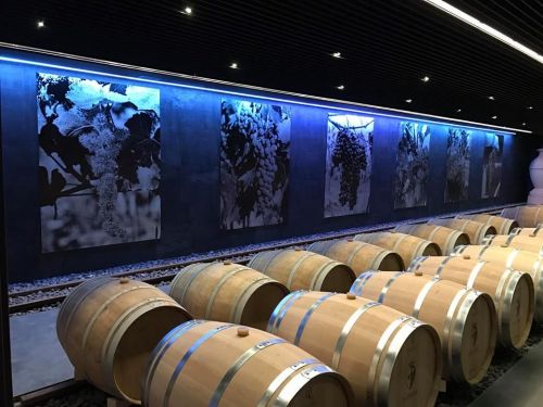 Archisio - Lavoro di Elettrostar Impianti Elettrici - La elettrostar impianti elettrici di castelfiorentino in provincia di firenze si occupa dellinstallazione e della manutenzione di impianti elettrici civili ed industriali La ditta ti offre un se