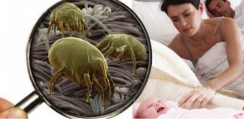 Archisio - Lavoro di Csgbnet Service Srls - La storia della csgnet service srls un cammino costruito anno dopo anno adattando le strategie operative alle esigenze del mercato e nel contempo ricercando al mutare delle stesse le appropriate ris