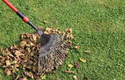 Archisio - Lavoro di Pulymax - La pulymax una societ che si occupa di servizi di pulizia per privati ed aziende una divisione del gruppo fast srl con sede a lanciano in provincia di chieti in viale cappuccini 294 Specia