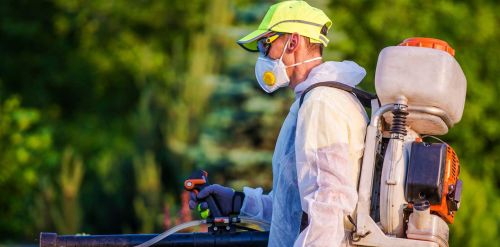 Archisio - Lavoro di Giesse Disinfestazioni - La giesse disinfestazioni offre qualit ed esperienza nel settore delle sanificazioni ambientali Garantiamo reperibilit tutto il giorno per interventi di disinfestazione derattizzazione e disinfe