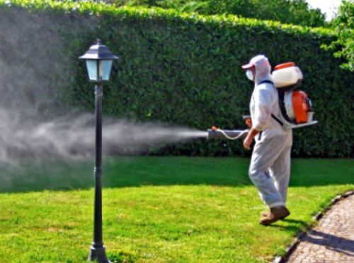 Archisio - Lavoro di Edil Color E Disinfestazioni - La edil color e disinfestazioni opera nel settore della disinfestazione a piazza armerina da oltre 10 anni garantendo alti standars di qualit con personale tecnico altamente qualificato e dotat